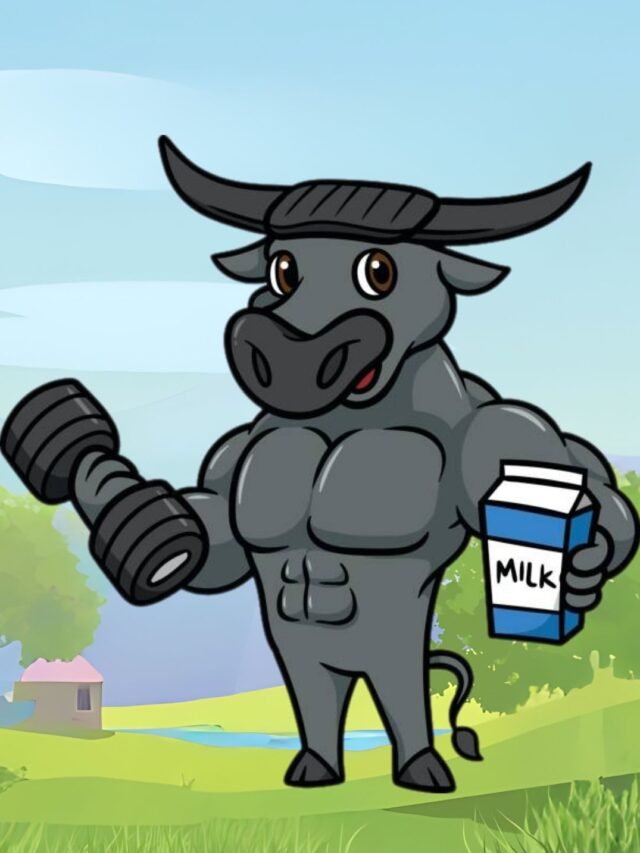 Why Wellhealthorganic Buffalo Milk is a Must-Try
