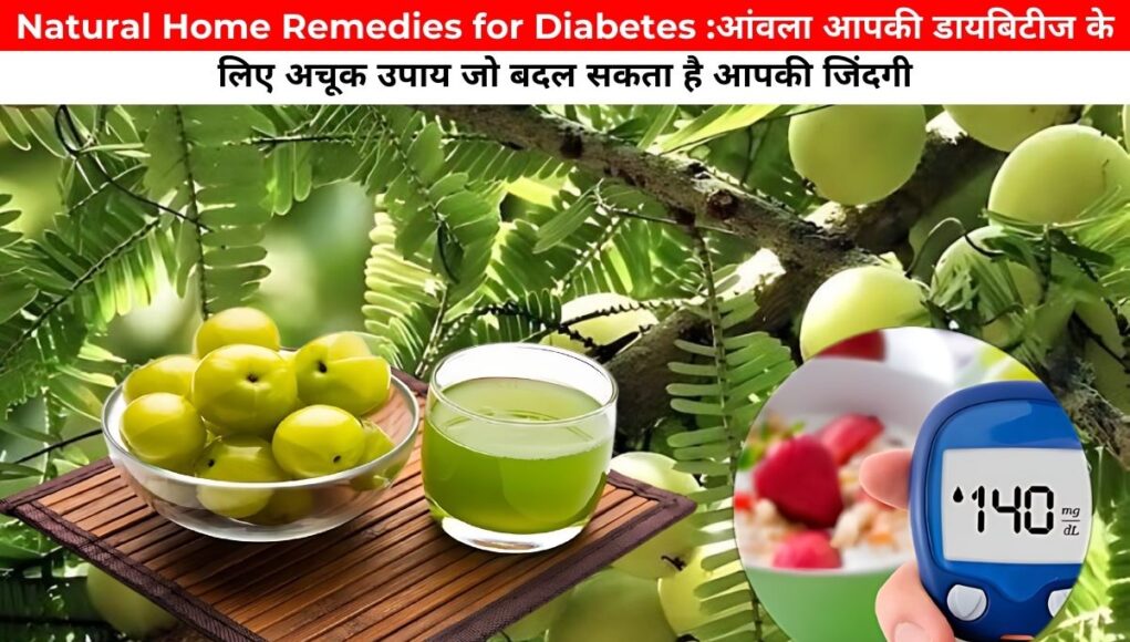 Natural Home Remedies for Diabetes :आंवला आपकी डायबिटीज के लिए अचूक उपाय जो बदल सकता है आपकी जिंदगी