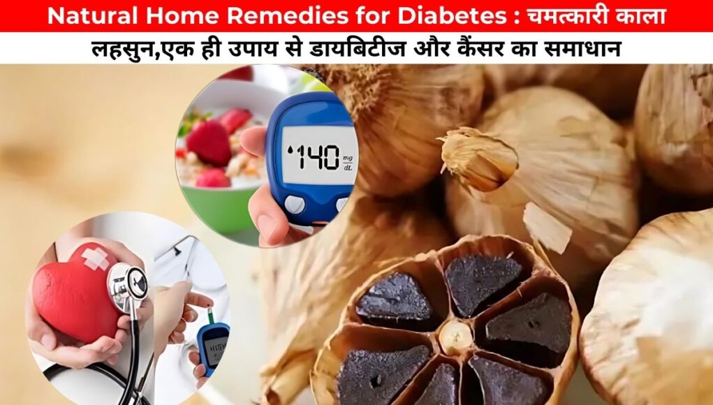 Natural Home Remedies for Diabetes : चमत्कारी काला लहसुन,एक ही उपाय से डायबिटीज और कैंसर का समाधान