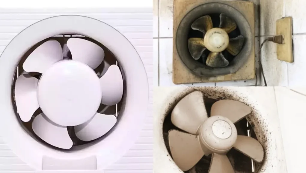 Kitchen Exhaust Fan Cleaning - क्या आप जानते हैं? एग्जॉस्ट फैन की गंदगी से आपकी सेहत पर पड़ रहा है बुरा असर!