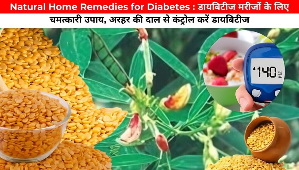 Natural Home Remedies for Diabetes : डायबिटीज मरीजों के लिए चमत्कारी उपाय, अरहर की दाल से कंट्रोल करें डायबिटीज